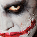 Jahr: 2011 // Author: Heide Schostek